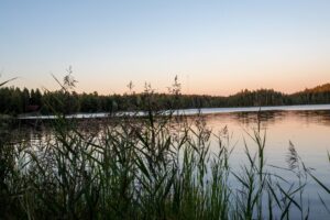Hyvinvoivat silmät myös ikääntyessä kuva